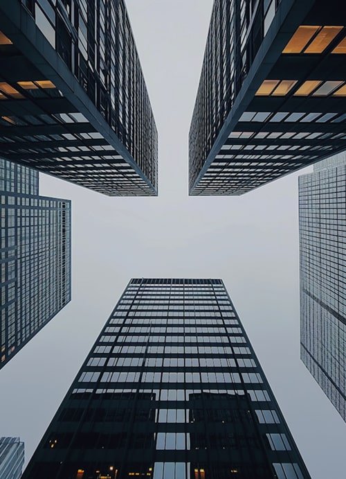 Business Development & Market Entry Consulting